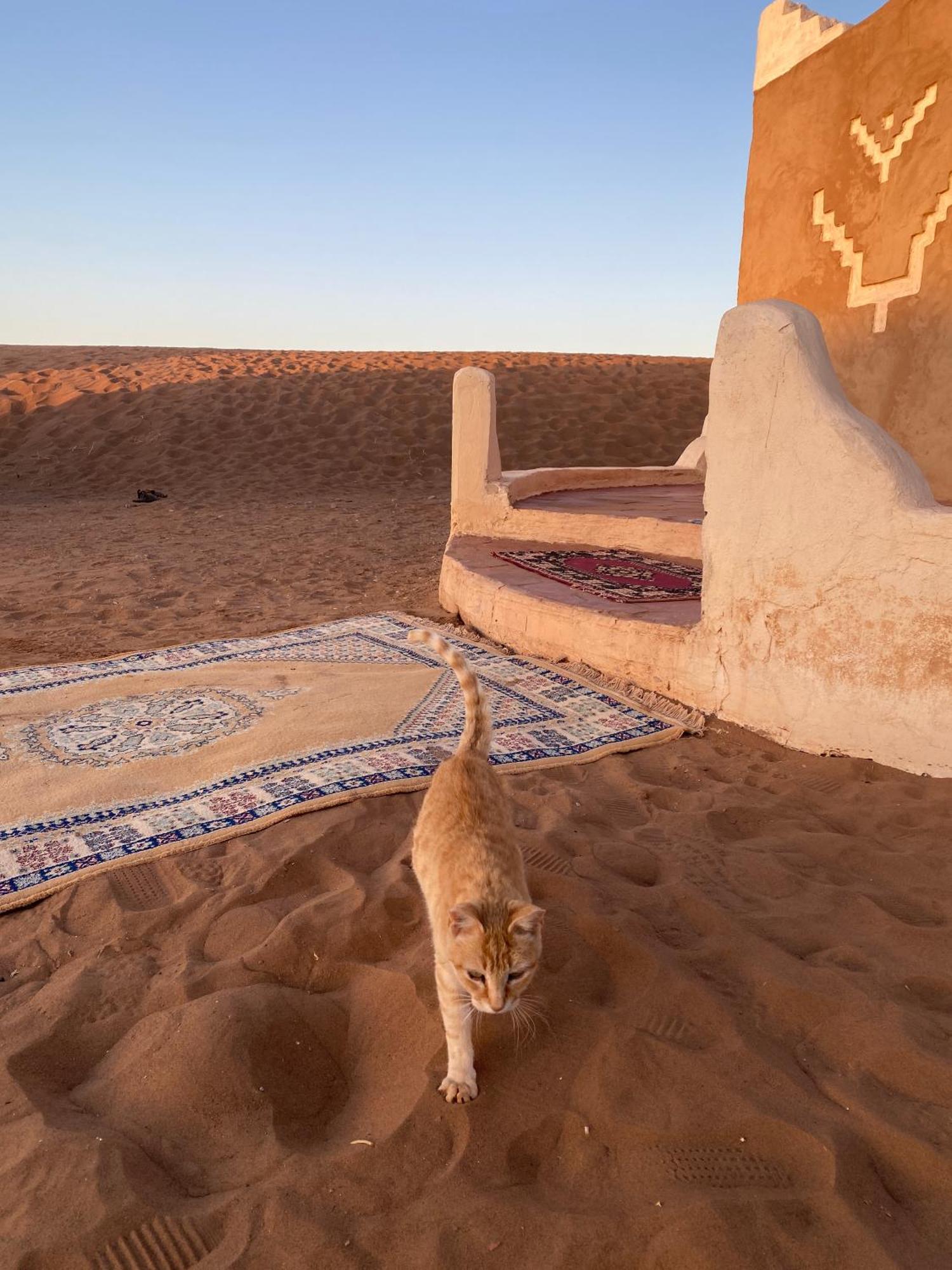 Bivouac Erg Chegaga Nomademoi Hotel El Gouera Kültér fotó